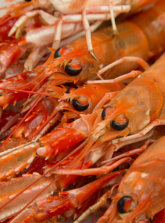 Fish Shellfish Workshop at the Edinburgh New Town Cookery School