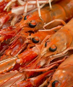 Fish Shellfish Workshop at the Edinburgh New Town Cookery School